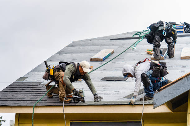 Professional Roof Replacement technician working in Dola, OH
